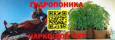 PSILOCYBIN Абинск