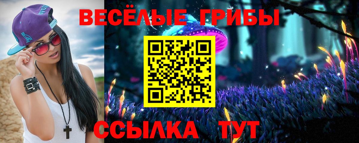 Россия  Псилоцибиновые грибы прущие грибы  Вход с VPN  Галлюциногенные грибы Psilocybe 